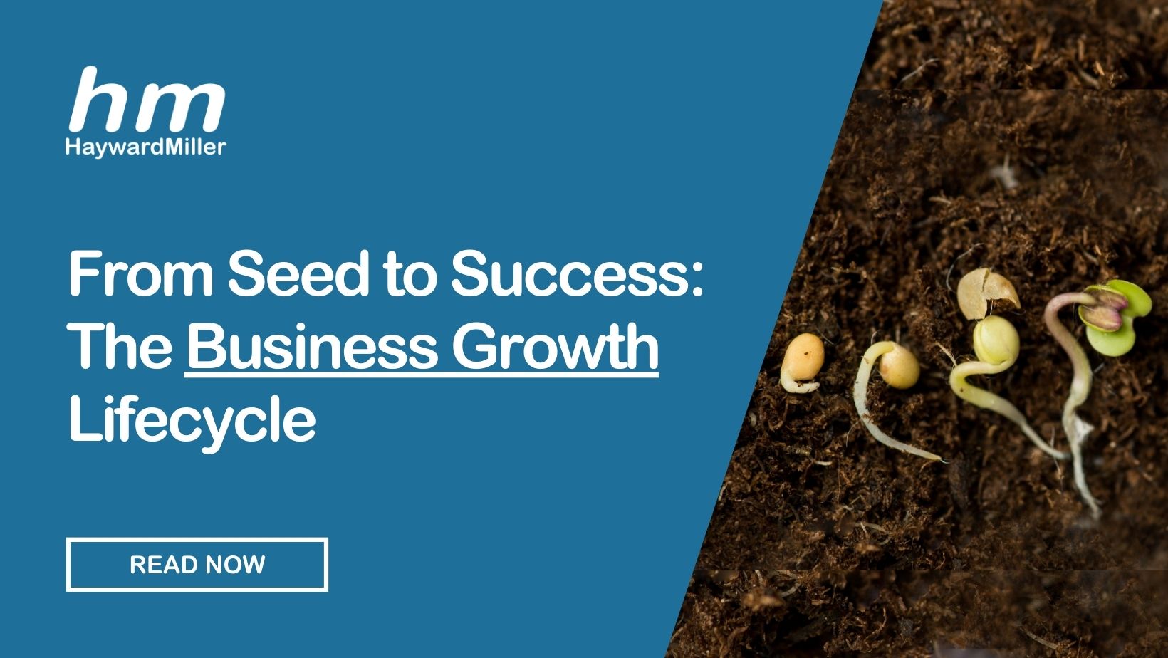 Seed to Success Thumbnail 0624